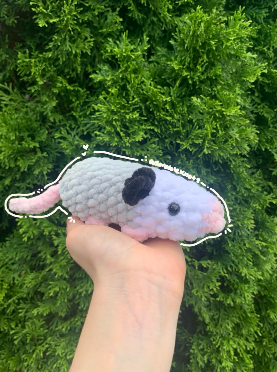 Opossum