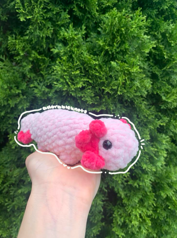 Axolotl
